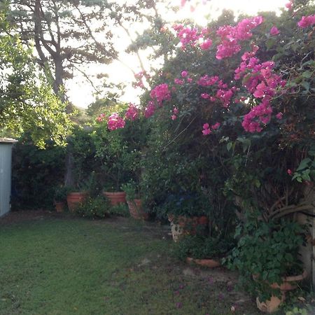 Deliziosa Villa 150 Metri Dal Mare Quartu SantʼElena Zewnętrze zdjęcie